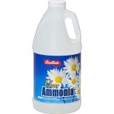 AMMONIA-CLEAR #AUSTINS (SKU #10421)