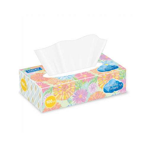 LUCKY #11261 FACIAL TISSUE 100CT FLAT BOX (SKU #17603)